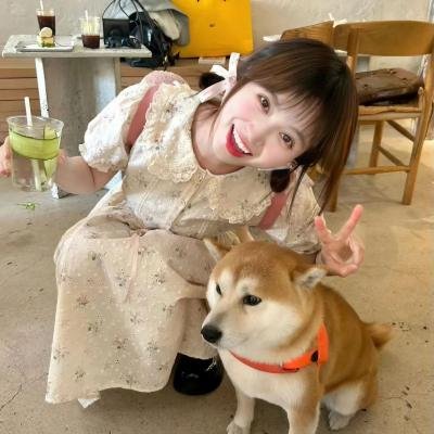 夏天协奏曲