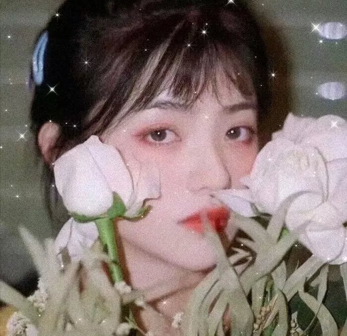 拳风恋影
